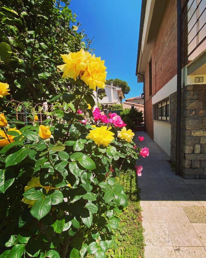 Casa Summer Cecina  Exteriér fotografie