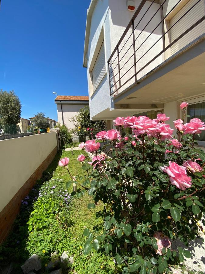 Casa Summer Cecina  Exteriér fotografie