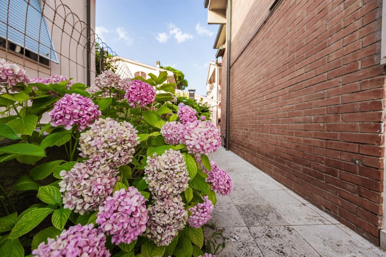 Casa Summer Cecina  Exteriér fotografie